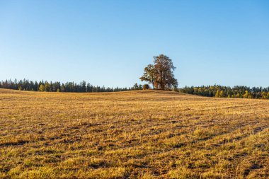 ağrı için koyu ve ıslak toprak ile kırsal ekili alanlar