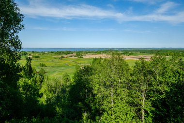 yukarıdan kırsal yaz gün sonsuz ormanlar