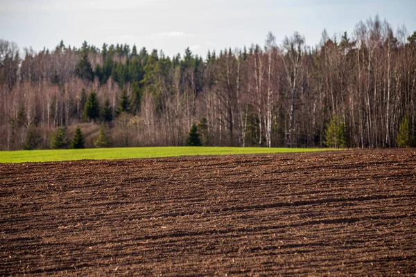 Terenów uprawnych w obszarach wiejskich z ciemną i mokrą glebą dla — Zdjęcie stockowe