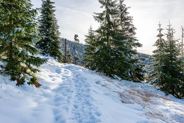 Słowacja Tatry górskie szlaki turystyczne pod śniegiem w Wint — Zdjęcie stockowe