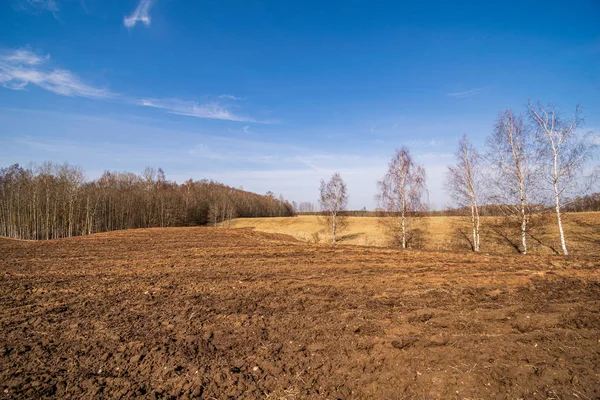 Campos cultivados no campo com solo escuro e húmido para agricultura — Fotografia de Stock