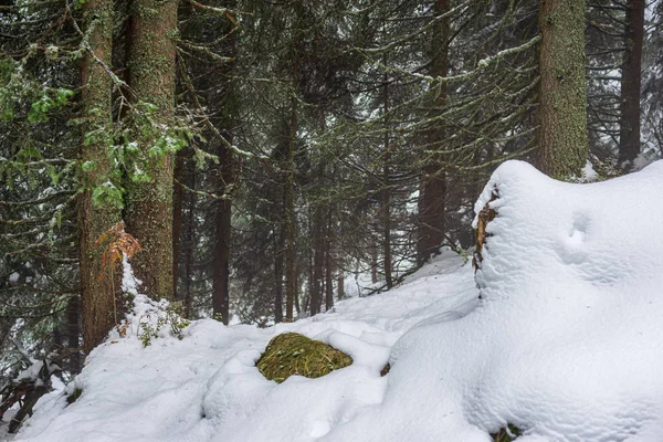Словакия Татра горных туристических троп под снегом зимой — стоковое фото