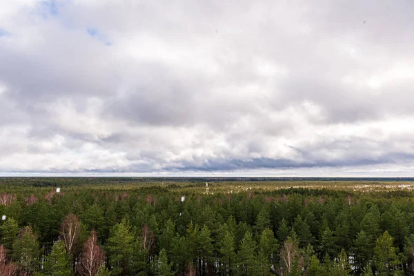 Бесконечные леса в летний день в сельской местности сверху — стоковое фото
