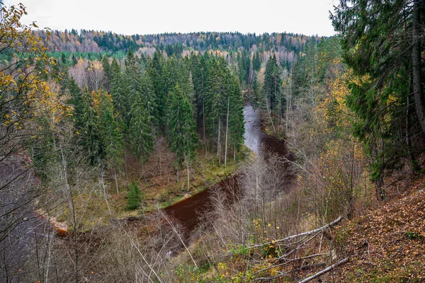 Vista panoramica sul fiume paesaggio di foresta torrente roccioso con alberi su — Foto Stock