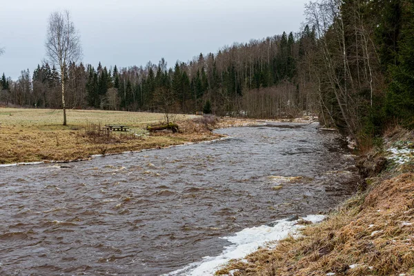 Fiume ghiacciato nella campagna invernale — Foto Stock