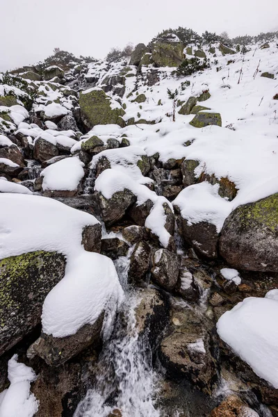 Словаччина Татра гірських туристичних пішохідних маршрутів під снігом в зимо — стокове фото