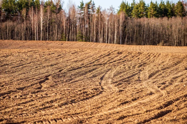 Champs cultivés à la campagne avec un sol sombre et humide pour l'agriculture — Photo