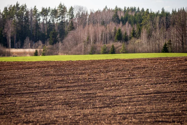 Terenów uprawnych w obszarach wiejskich z ciemną i mokrą glebą dla — Zdjęcie stockowe