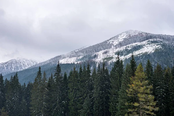 Słowacja Tatry górskie szlaki turystyczne pod śniegiem w Wint — Zdjęcie stockowe