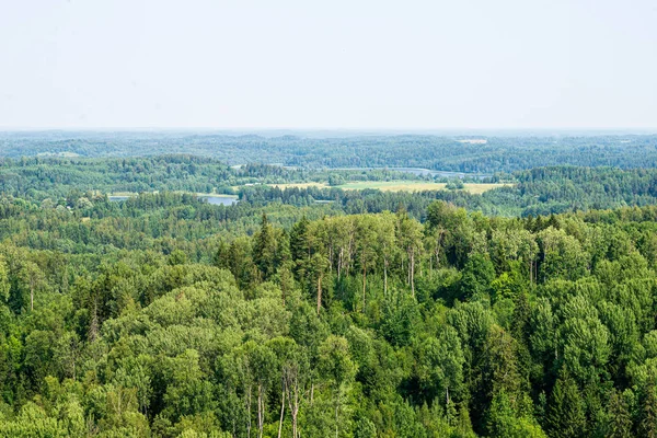 Eindeloze velden en bossen met groene bomen onder mist in het land — Stockfoto