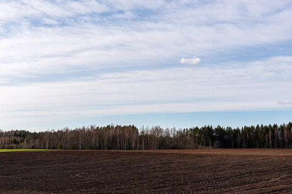 Terenów uprawnych w obszarach wiejskich z ciemną i mokrą glebą dla — Zdjęcie stockowe