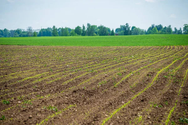Cultivated fields in countryside with dark and wet soil for agri — Stock Photo, Image