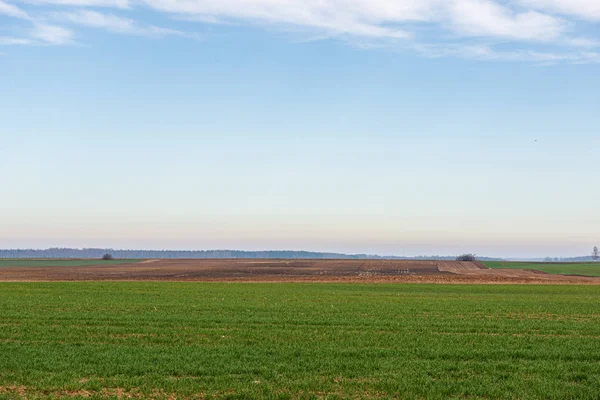 Campos cultivados en el campo con tierra oscura y húmeda para la agricultura — Foto de Stock