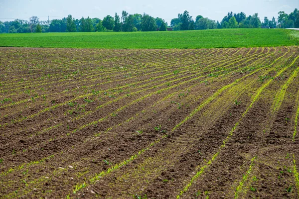 Cultivated fields in countryside with dark and wet soil for agri Stock Photo