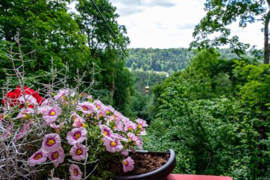 Sigulda, Letonya yeşil s Gauja teleferiğe geçiş Vadisi