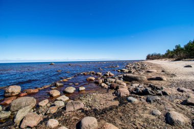 beyaz kum, büyük kayalar ve eski ahşap ile yalnız boş deniz Plajı