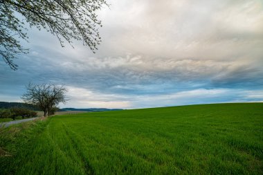 kırsal mavi gökyüzü altında yeşil çayır