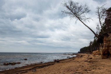 beyaz kum, büyük kayalar ve eski ahşap ile yalnız boş deniz Plajı