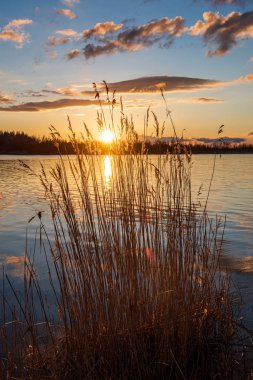 sakin kırsal göl Nehri su ve bulut yansımaları ile 