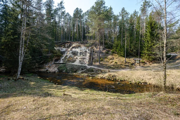 Calma floresta rio escondido atrás de galhos de árvores — Fotografia de Stock