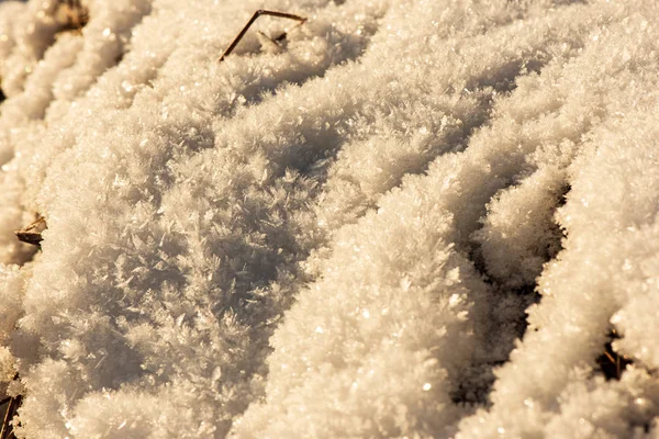 Flocons de neige gelés près — Photo