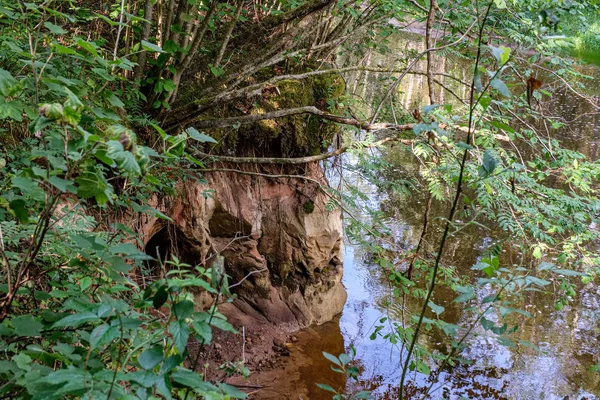 Calma floresta rio escondido atrás de galhos de árvores — Fotografia de Stock