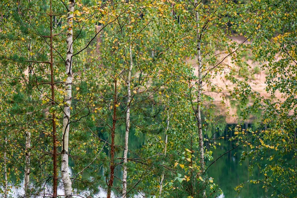 Tranquillo fiume lago di campagna con riflessi nuvolosi in acqua e — Foto Stock