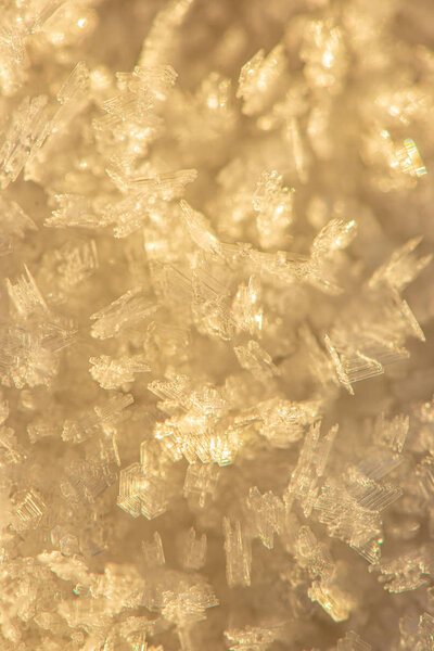 frozen snow flakes close up