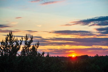 ağaçlar ve alanlar üzerinde gökyüzünde dramatik kırmızı günbatımı renkleri