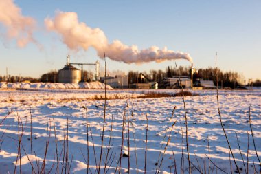 Kış aylarında büyük bacalardan endüstriyel duman