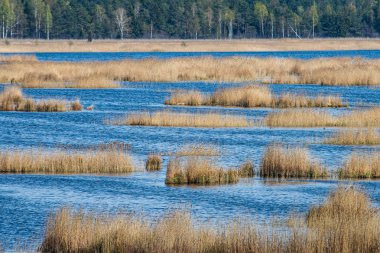 sakin kırsal göl Nehri su ve bulut yansımaları ile 
