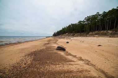 beyaz kum, büyük kayalar ve eski ahşap ile yalnız boş deniz Plajı