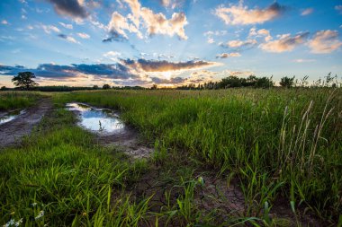 ağaçlar ve alanlar üzerinde gökyüzünde dramatik kırmızı günbatımı renkleri