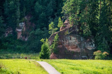 yeşil ormanda doğal güzel turist Trail patika