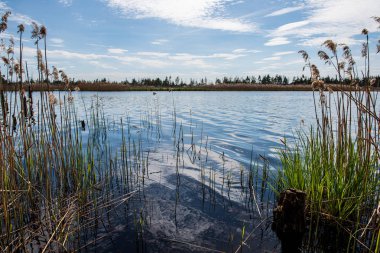 sakin kırsal göl Nehri su ve bulut yansımaları ile 