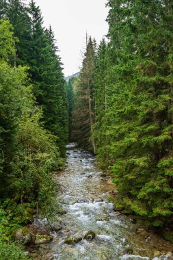 kayalar Körfez ile hızlı dağ Nehri