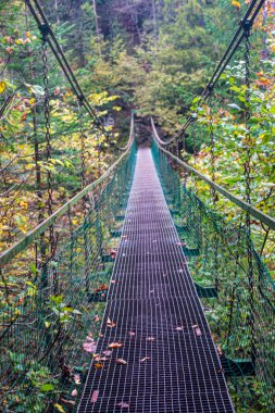 Sonbahar ormanında nehir üzerinde eski metal köprü