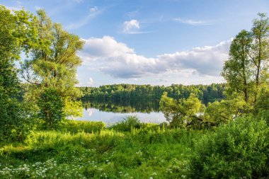 ağaçların içinde güneş ile göl güzel akşam