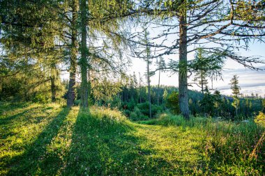 Slovakya 'da Tatra Dağları üzerinde dramatik bulutlar