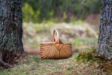 Yaz aylarında doğa parkurları örme ahşap piknik sepeti