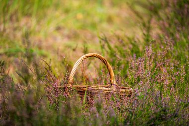 Yaz aylarında doğa parkurları örme ahşap piknik sepeti