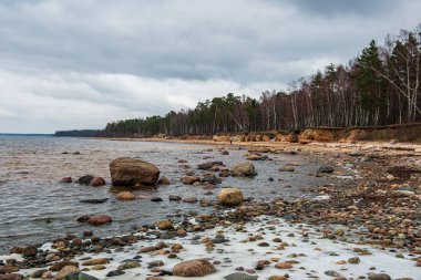 beyaz kum, büyük kayalar ve eski ahşap ile yalnız boş deniz Plajı