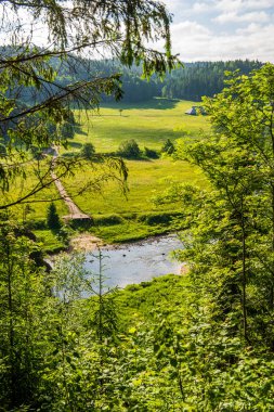 Yaz aylarında Letonya güzel orman Nehri