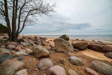 beyaz kum, büyük kayalar ve eski ahşap ile yalnız boş deniz Plajı