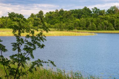 sakin kırsal göl Nehri su ve bulut yansımaları ile 