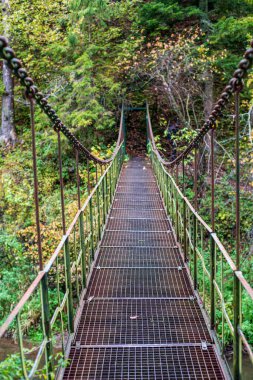 Sonbahar ormanında nehir üzerinde eski metal köprü