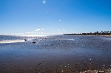 beyaz kum, büyük kayalar ve eski ahşap ile yalnız boş deniz Plajı
