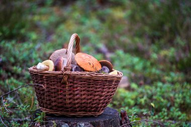Yaz aylarında doğa parkurları örme ahşap piknik sepeti