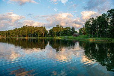 ağaçların içinde güneş ile göl güzel akşam