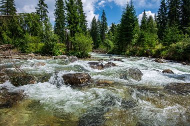 kayalar üzerinde şelale ile orman dağ Nehri